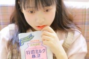 印尼巴士模拟器国产车辆模组 
